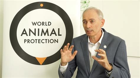 world animal protection scandal|World Animal Protection chief executive steps down at short .